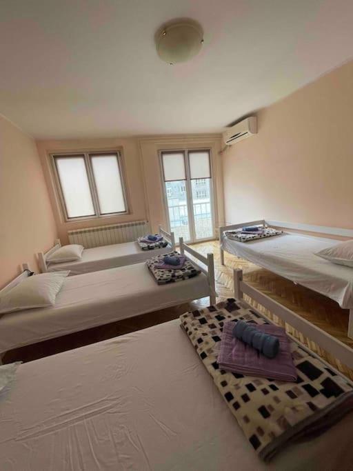 Bg Sunflower Apartment Beograd Bagian luar foto