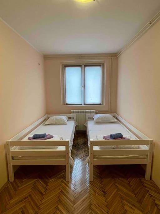 Bg Sunflower Apartment Beograd Bagian luar foto