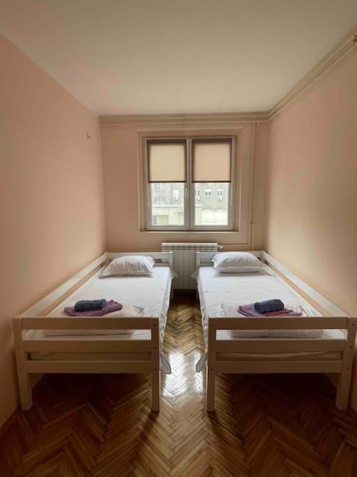 Bg Sunflower Apartment Beograd Bagian luar foto